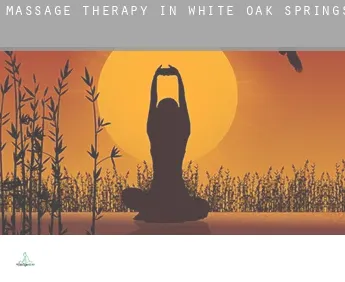 Massage therapy in  White Oak Springs