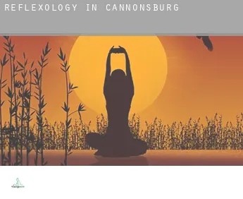 Reflexology in  Cannonsburg