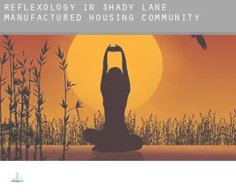 Reflexology in  Shady Lane Manufactured Housing Community