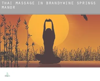 Thai massage in  Brandywine Springs Manor