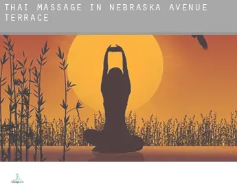 Thai massage in  Nebraska Avenue Terrace