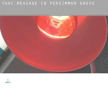 Thai massage in  Persimmon Grove
