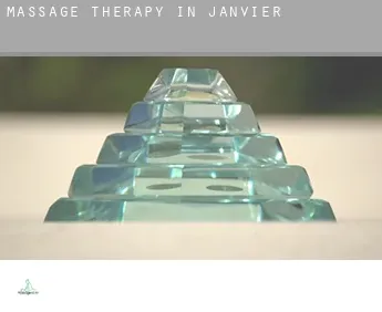 Massage therapy in  Janvier