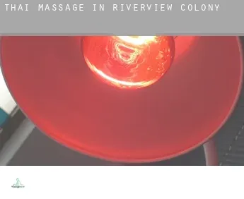 Thai massage in  Riverview Colony