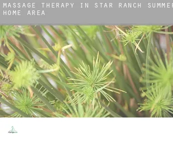Massage therapy in  Star Ranch Summer Home Area