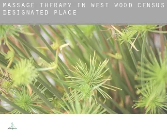 Massage therapy in  West Wood