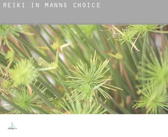 Reiki in  Manns Choice