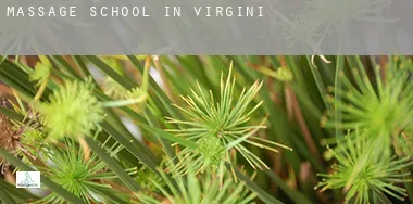 Massage school in Virginia