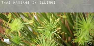 Thai massage in Illinois