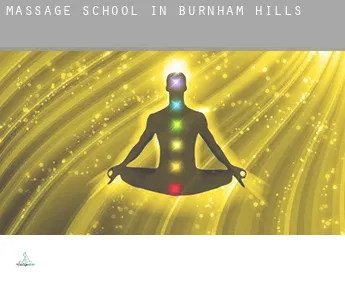Massage school in  Burnham Hills