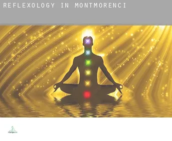 Reflexology in  Montmorenci