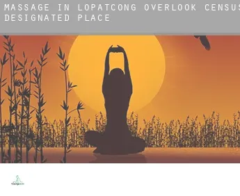Massage in  Lopatcong Overlook