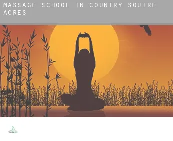 Massage school in  Country Squire Acres