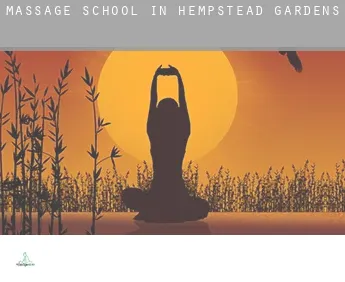 Massage school in  Hempstead Gardens
