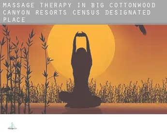 Massage therapy in  Big Cottonwood Canyon Resorts