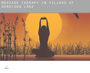 Massage therapy in  Village of Garrison Lake