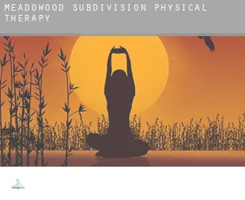 Meadowood Subdivision  physical therapy
