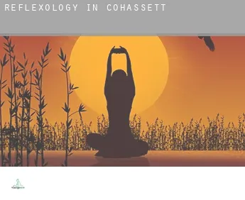 Reflexology in  Cohassett