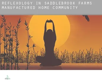 Reflexology in  Saddlebrook Farms Manufactured Home Community