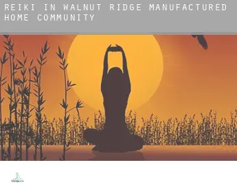 Reiki in  Walnut Ridge Manufactured Home Community