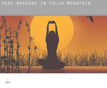 Thai massage in  Felch Mountain