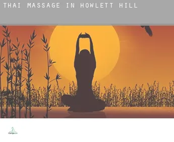 Thai massage in  Howlett Hill
