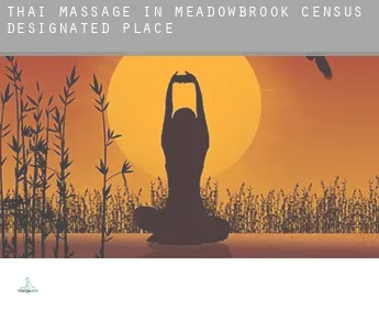 Thai massage in  Meadowbrook